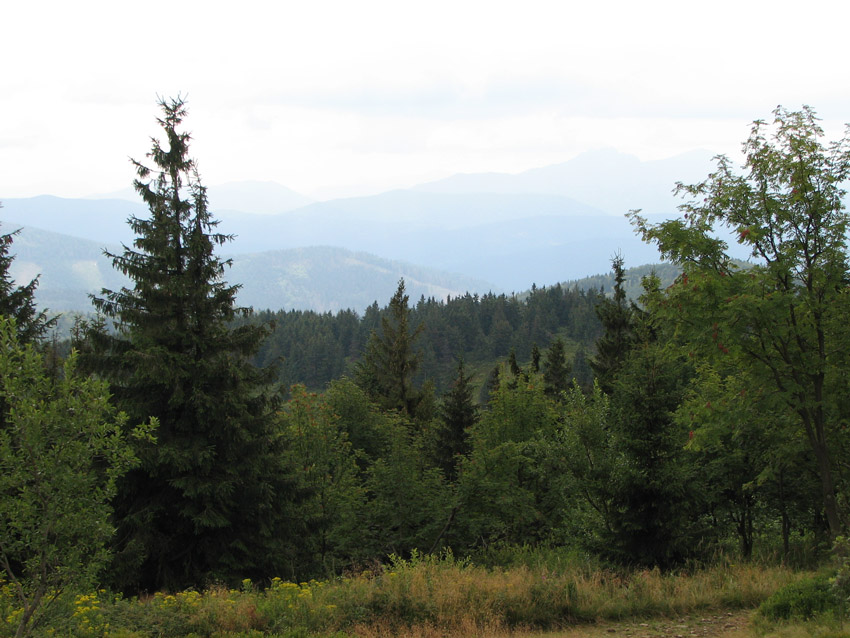 Beskid niski