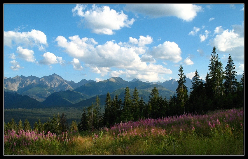 Tatry Moje Ukochane