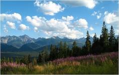 Tatry Moje Ukochane