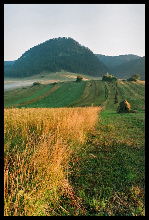 Gorce(Pieniny)