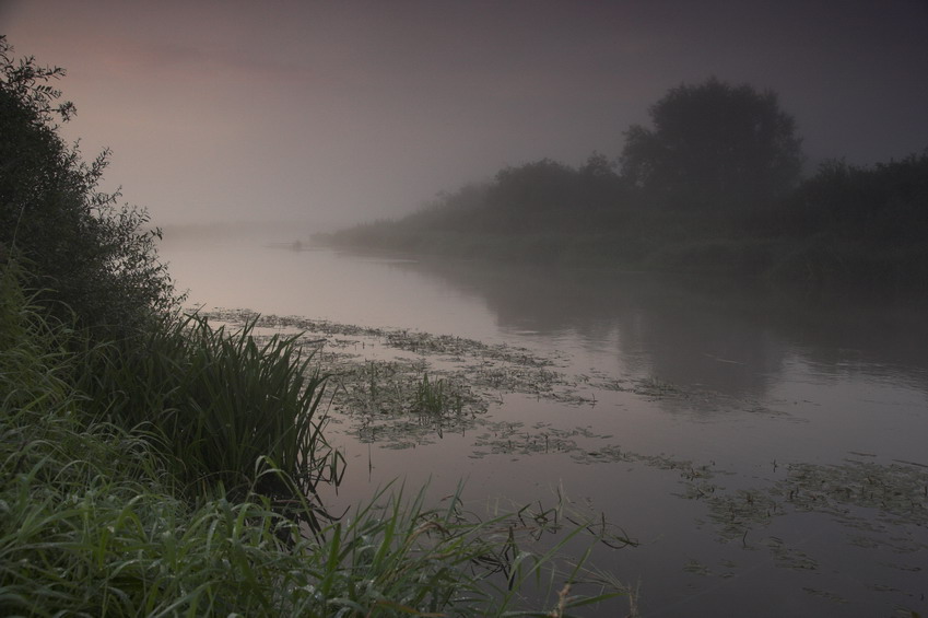 Poranek nad Nidą