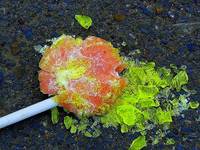 lolipop sięgnął bruku