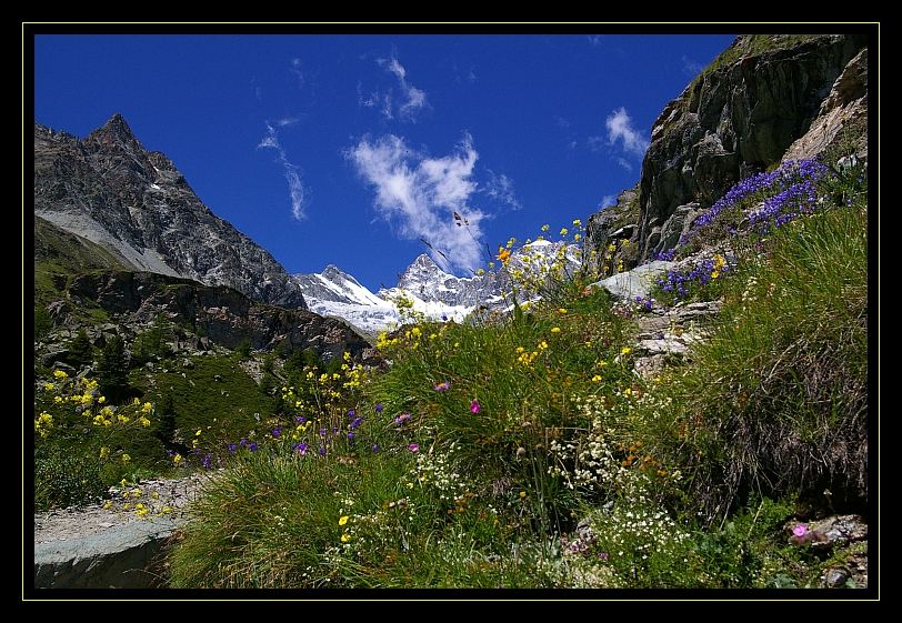 Colours of the Alps