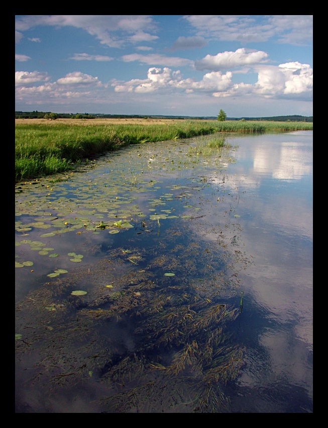 nad Supraślą