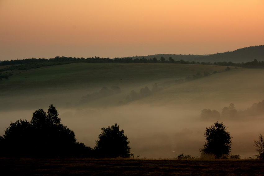 Zwycięstwo /poranek w Grabie