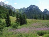 Tatry