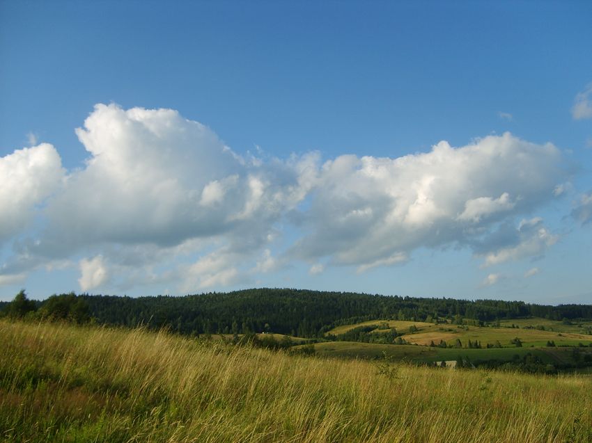 Beskid