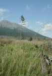 wysokie tatry