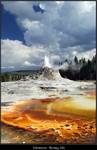 Yellowstone, Wyoming, USA