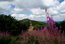 Bieszczady - Połonina Wetlińska #05