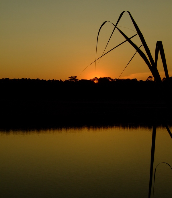 rio Beni , Boliwia