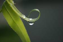 Droplet