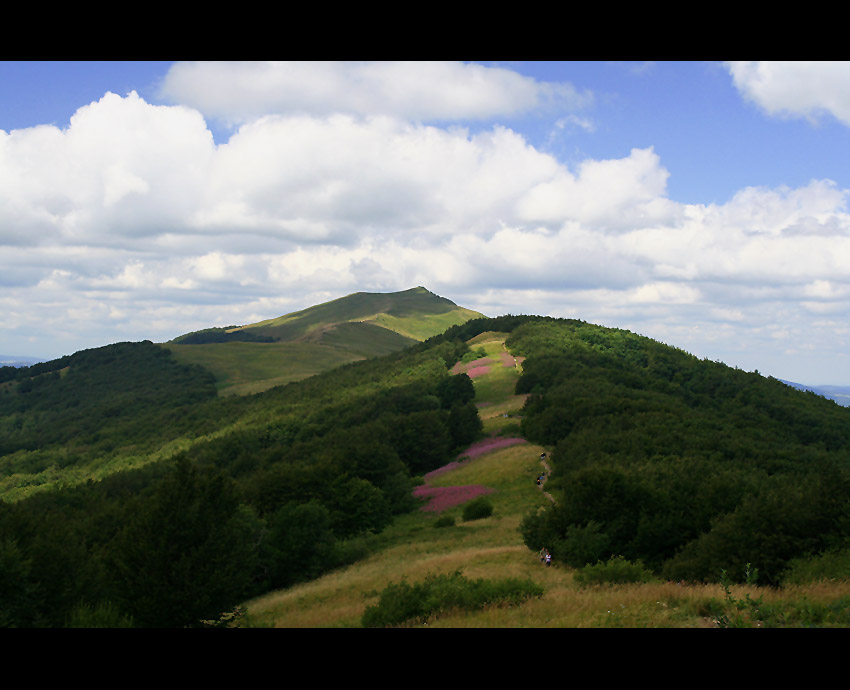 Bieszczady-Połonina Wetlińska #07