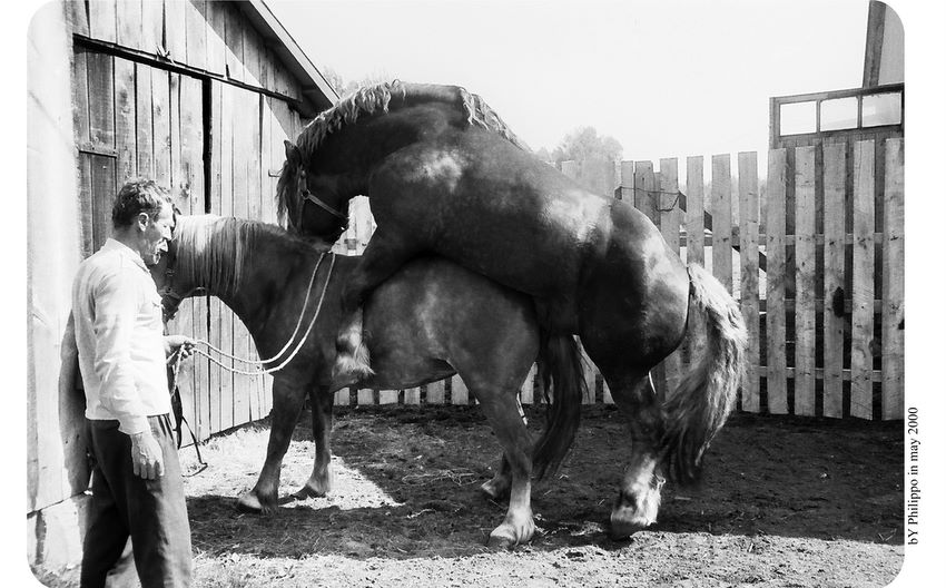 .. Once Upon a Time in the Eastern Poland ..