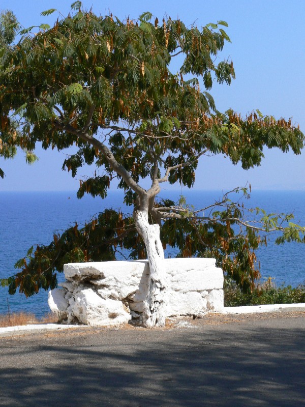 kreta