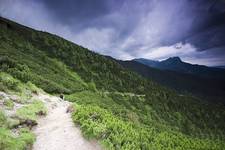 Tatry