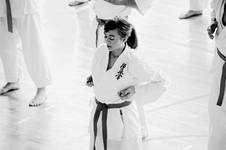 KYOKUSHIN