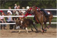 Western i rodeo