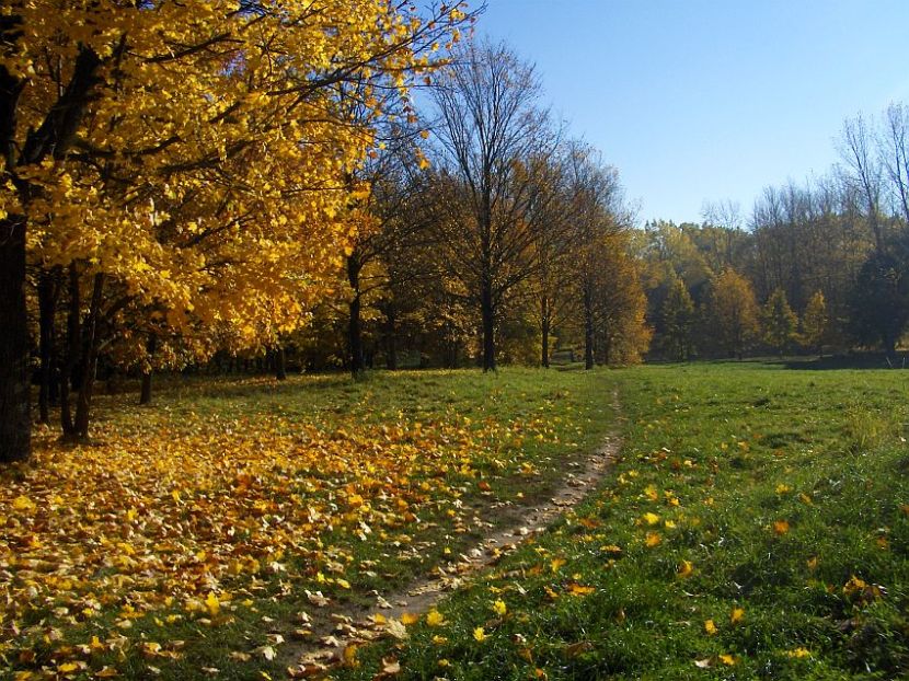 z tęsknoty za jesienią..