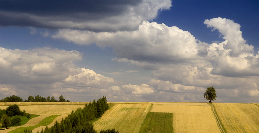 Ciepły sierpniowy dzień