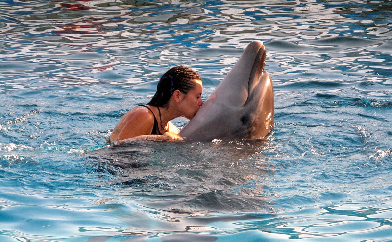 Delfin i Manuela