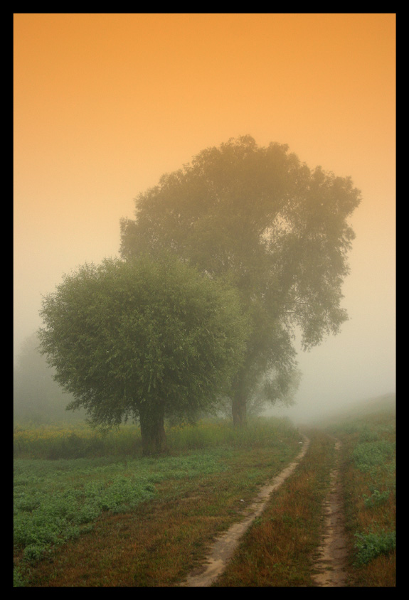 Poranek nad Wisłą