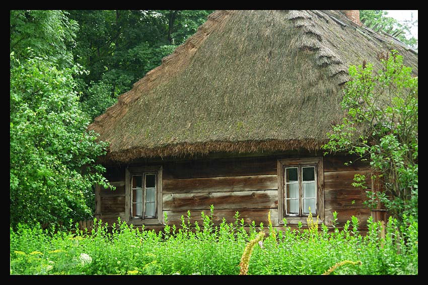 chatka w zaroślach