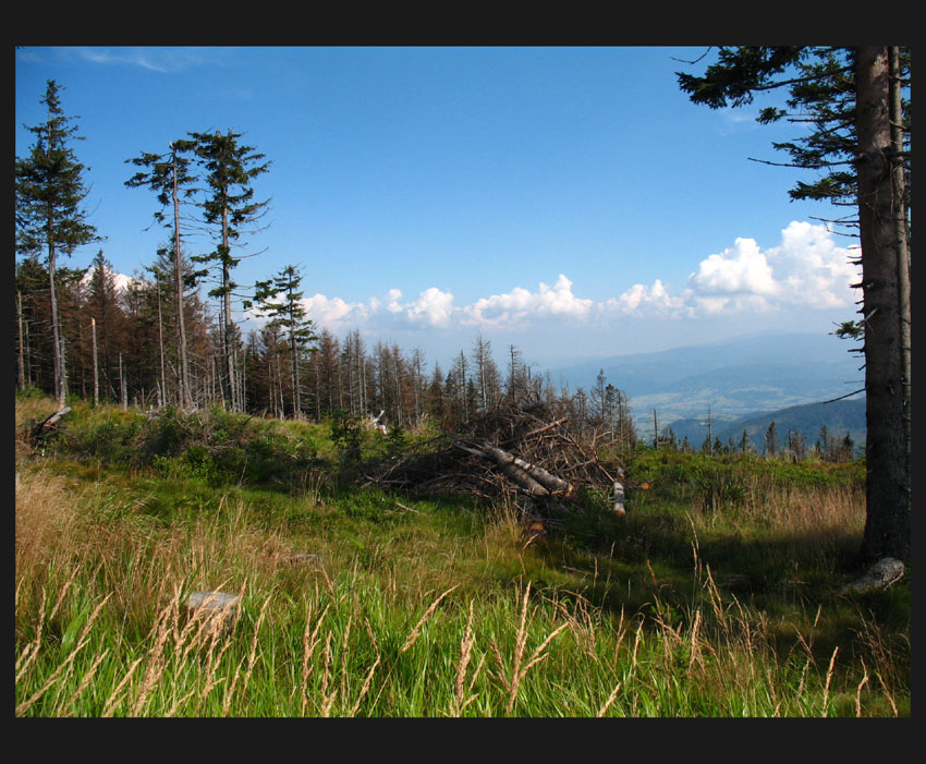 ...Beskid żywiecki...