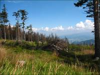 ...Beskid żywiecki...