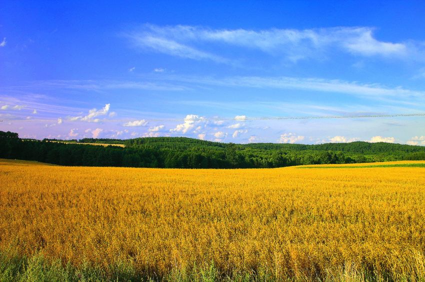 okolice Kamienia Krajeńskiego