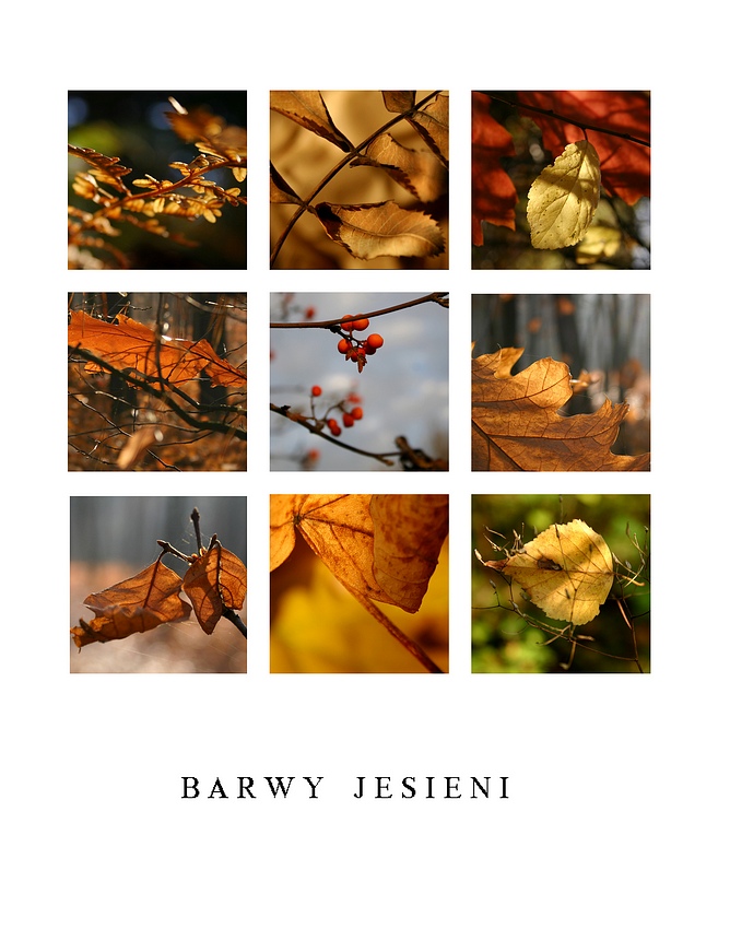 Barwy jesieni