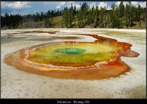 Chromatic pool, Yellowstone, Wyoming, USA