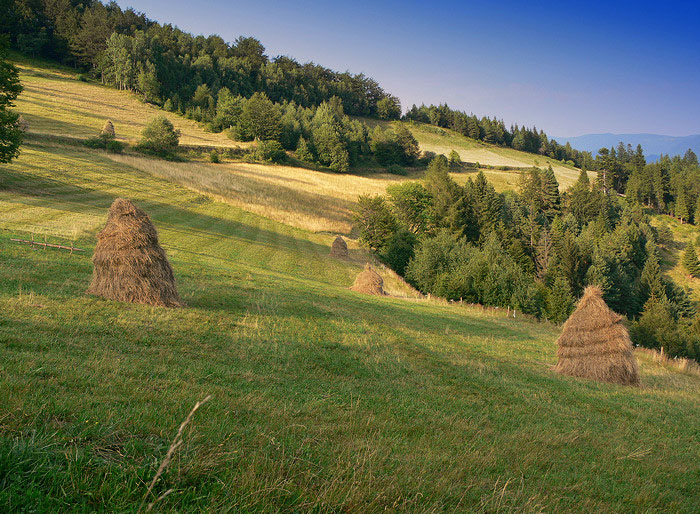 poranek na Niemcowej