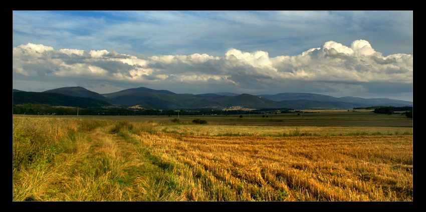 Szkoda lata