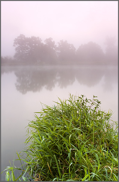 wschód słońca nad rzeczką