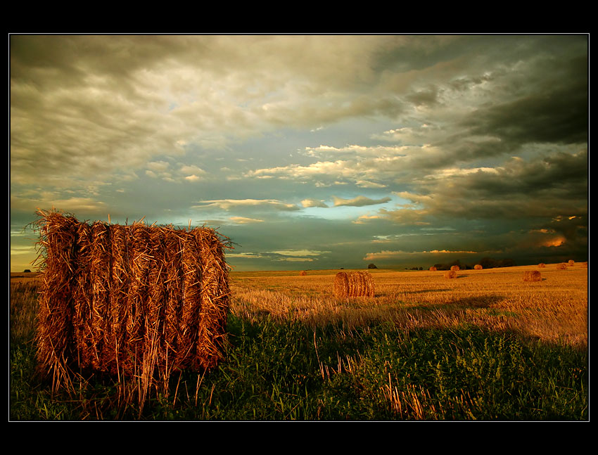 Sierpień 2007