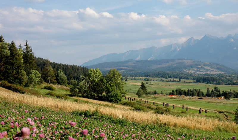 widok na Taterki