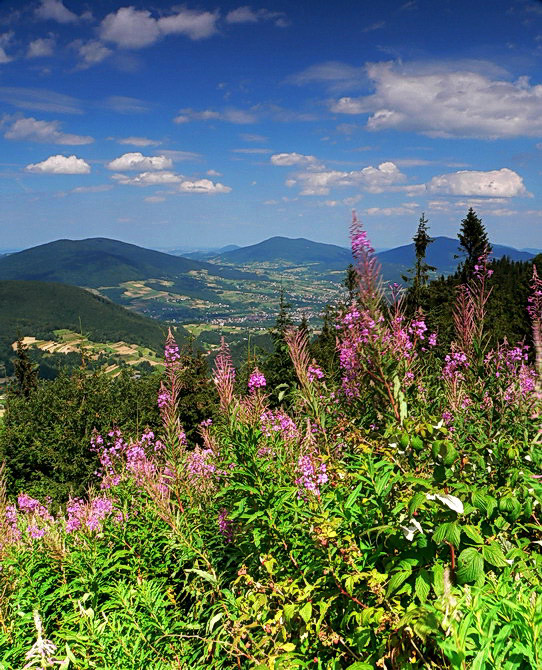 Luboń Wielki