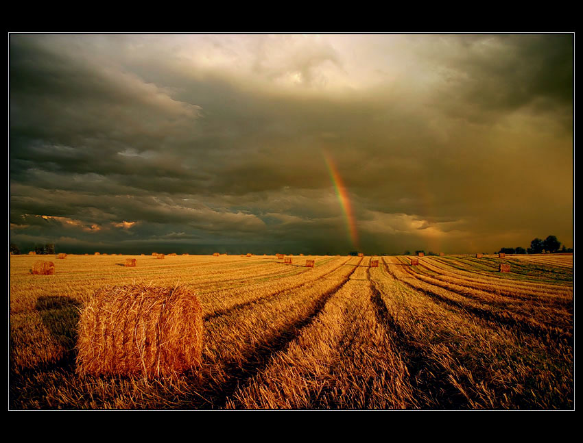 Sierpień 2007