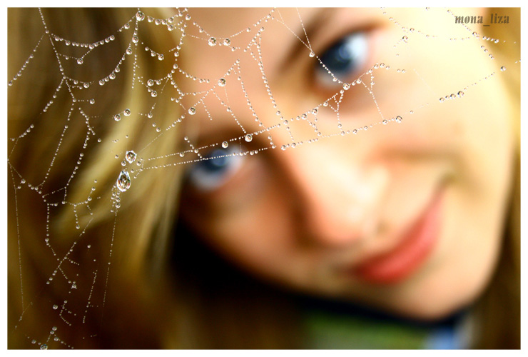 spider\\\'s web