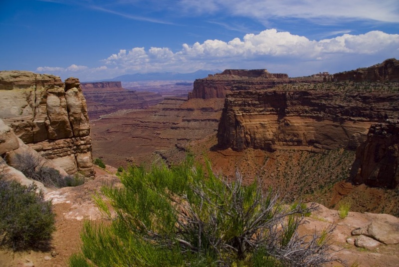 Canyonlands