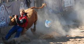 steer wrestling