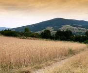 Beskid Wyspowy