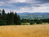 Beskid Wyspowy