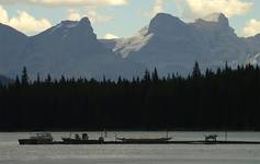 Maligne Lake - odsłona druga