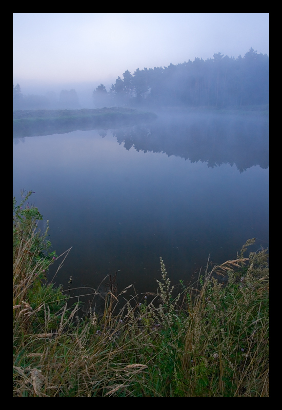 Poranek nad stawami