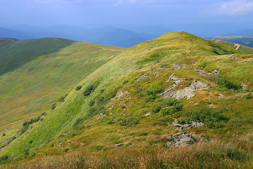 Biesy i Czady 3