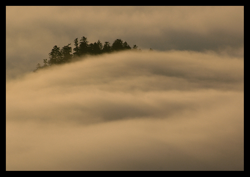 Pieniny