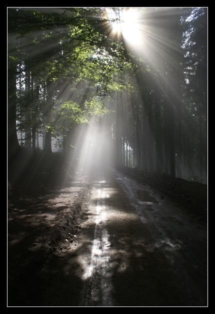 ...poranek - beskid...