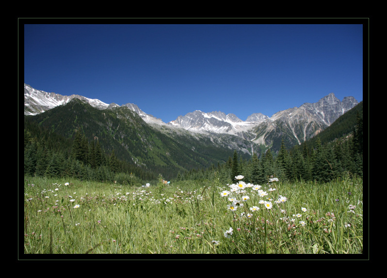 Rogers Pass